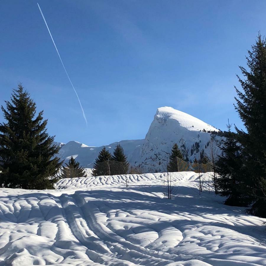 L'Ours Blanc Lodge Le Biot Bagian luar foto